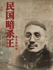 民国暗杀王海报