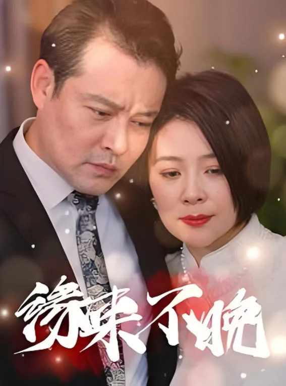 缘来不晚海报