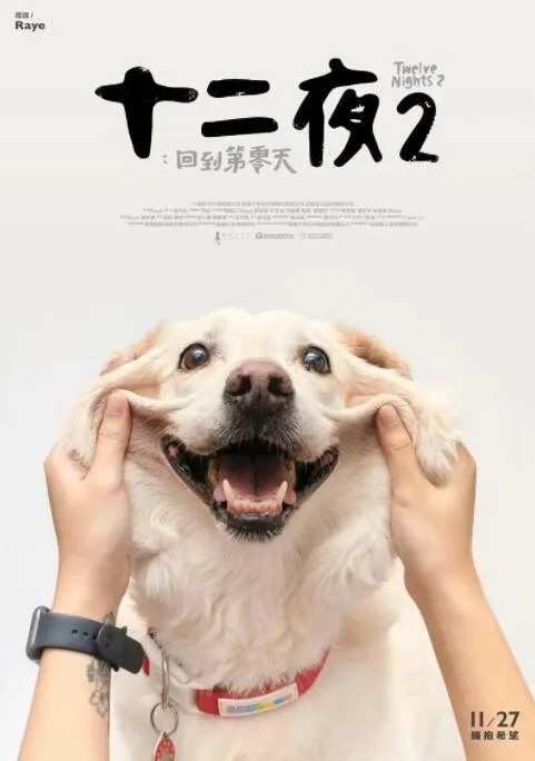 十二夜2：回到第零天海报