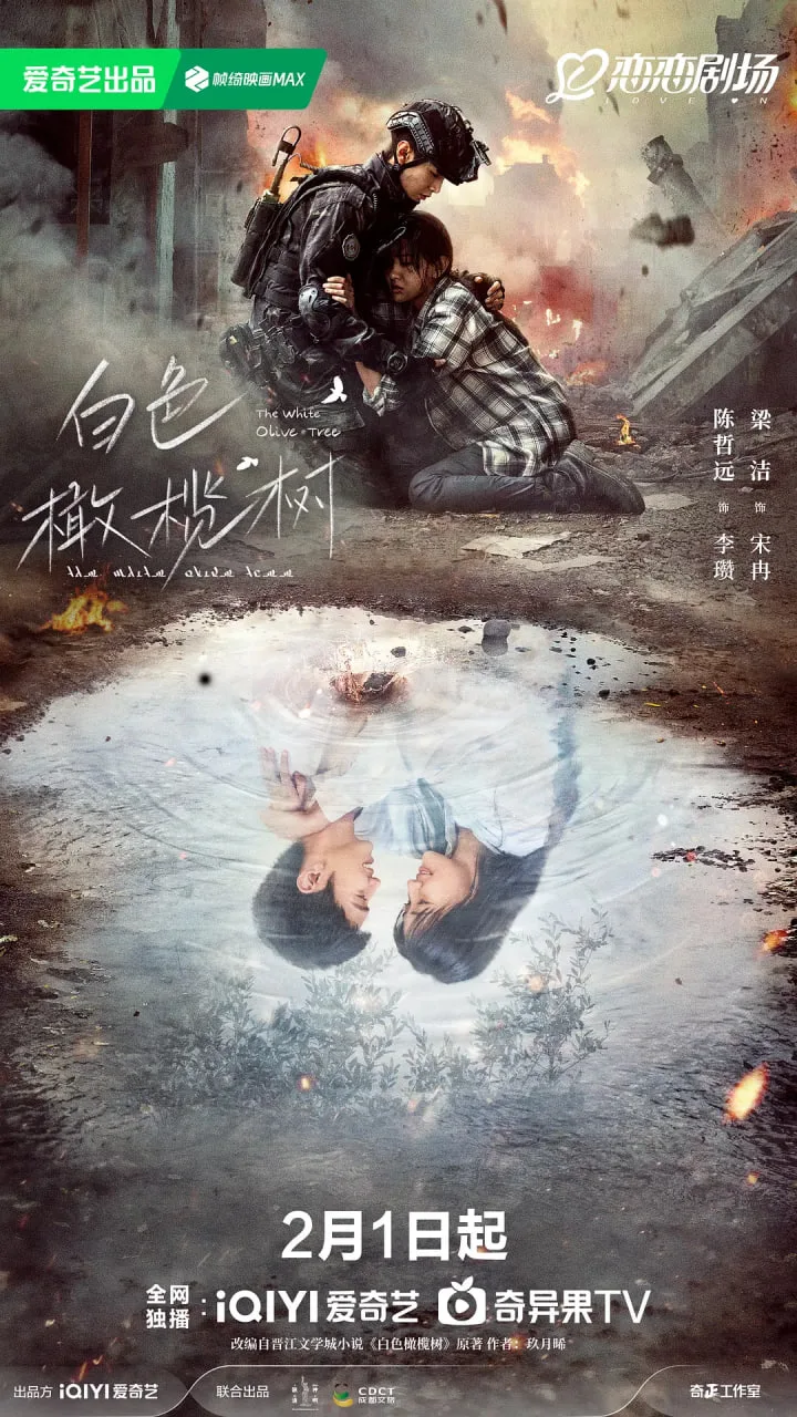 白色橄榄树海报