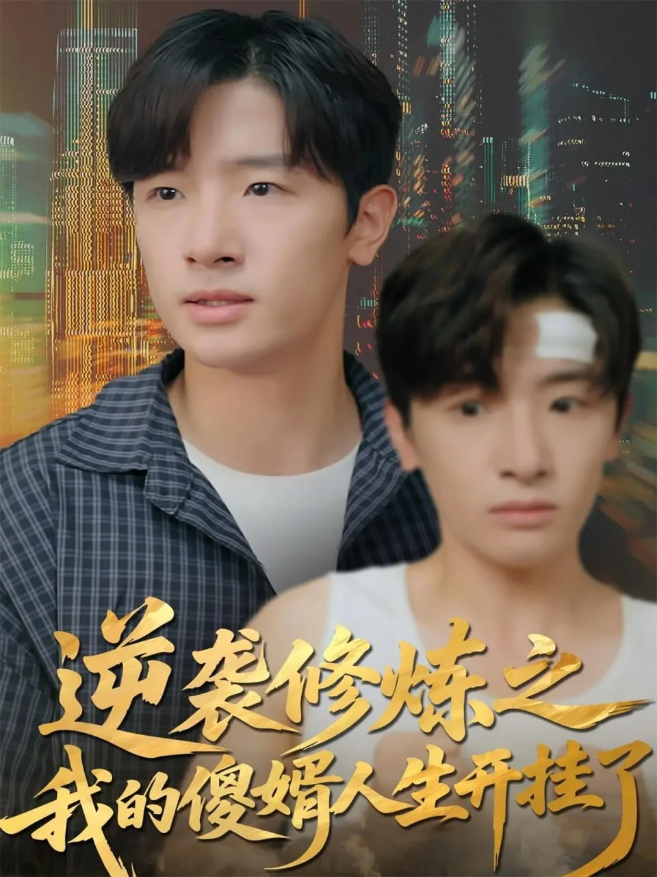 逆袭修炼之我的傻婿人生开挂了海报