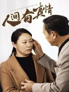 人间有真情海报