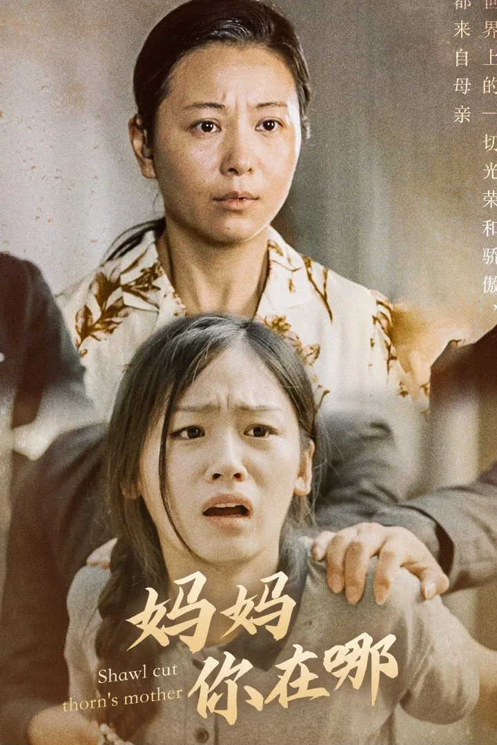 妈妈你在哪（春风不改旧时波）海报