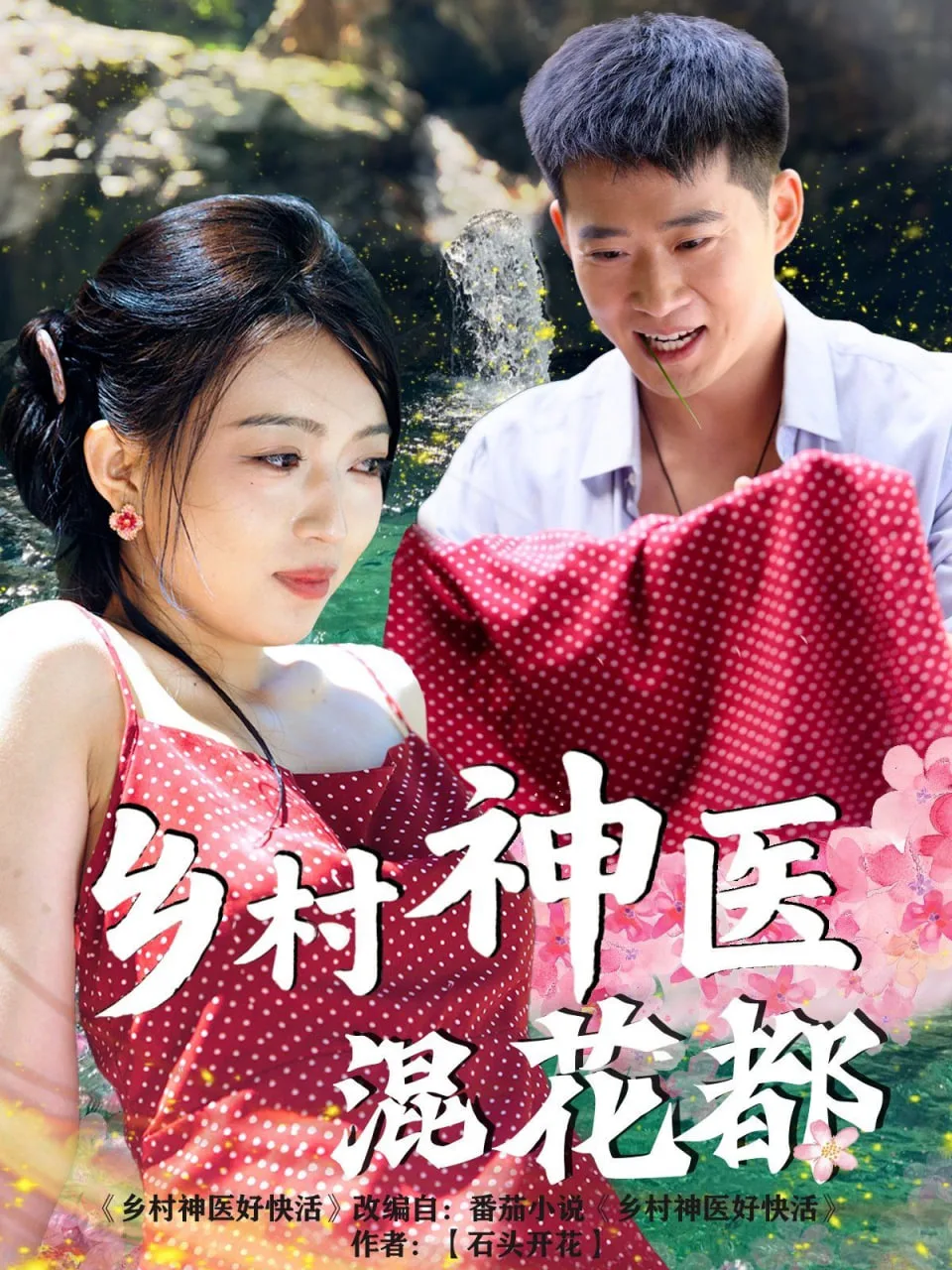 乡村神医混花都海报