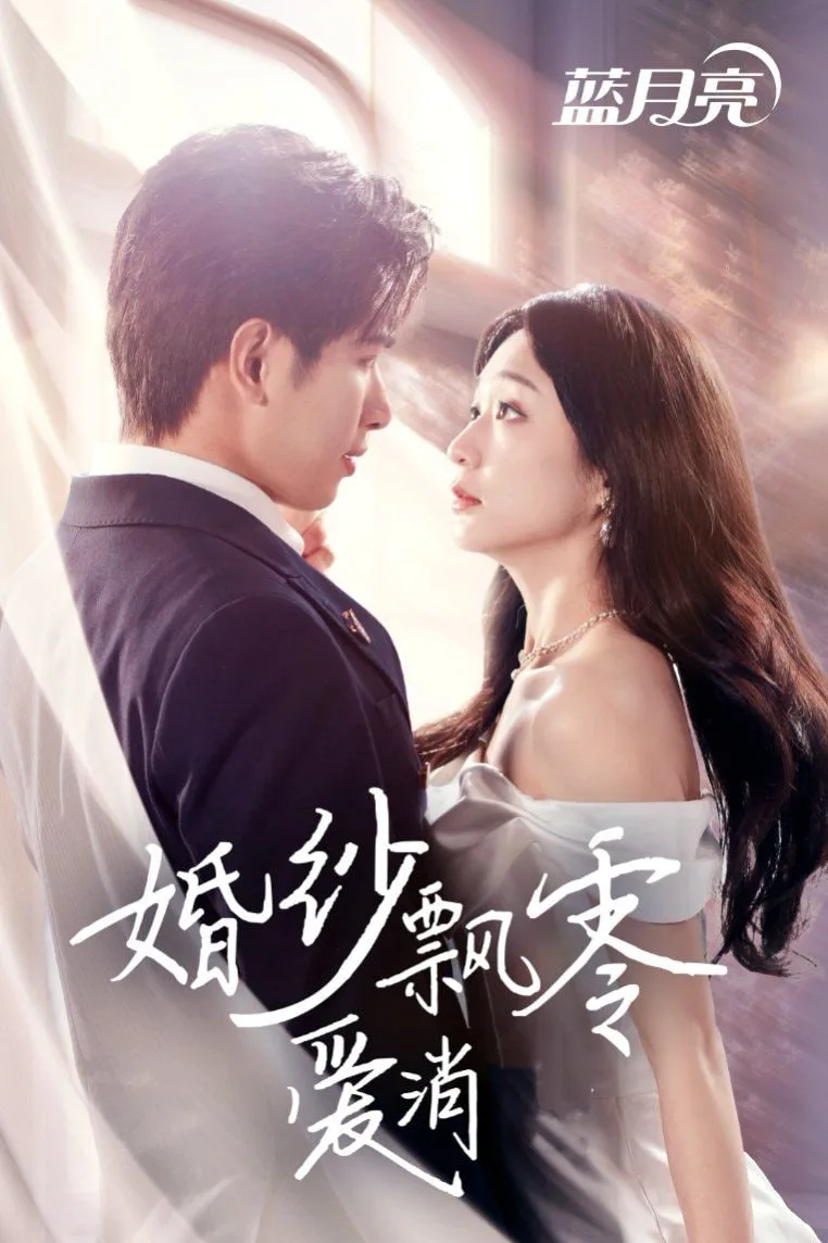 婚纱飘零爱消弭海报