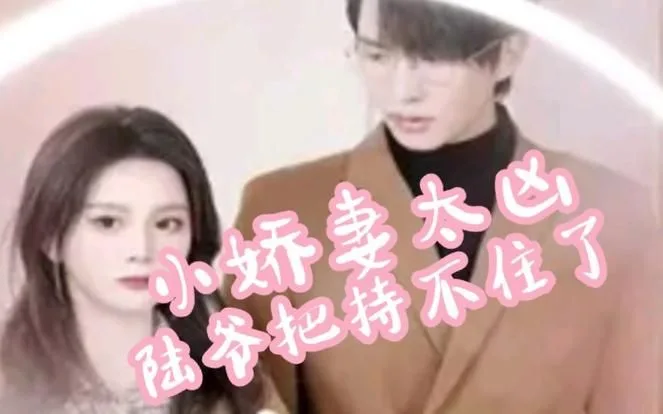 小娇妻太凶,陆爷把持不住了海报