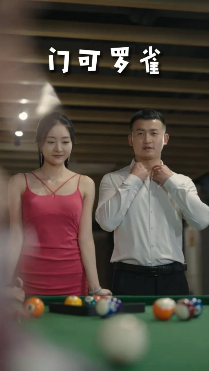 门可罗雀海报