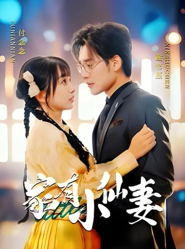 家有小仙妻海报