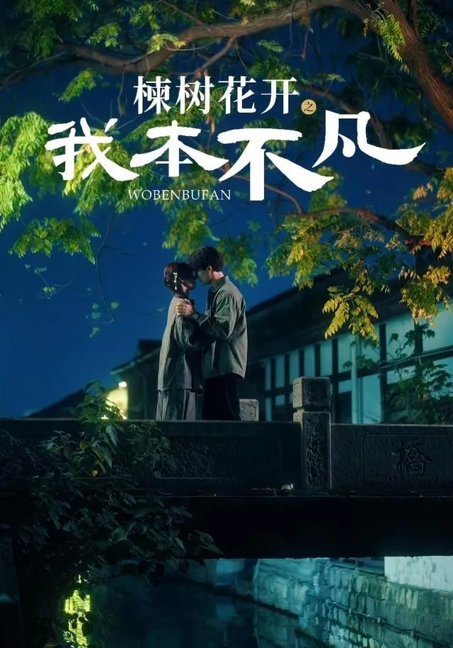 楝树花开之我本不凡海报