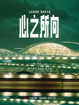 心之所向海报