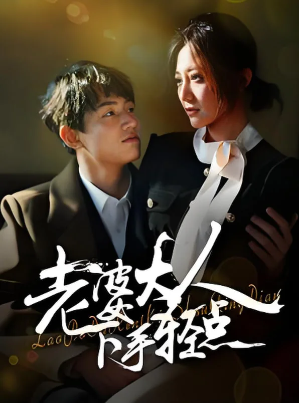 老婆大人下手轻点海报