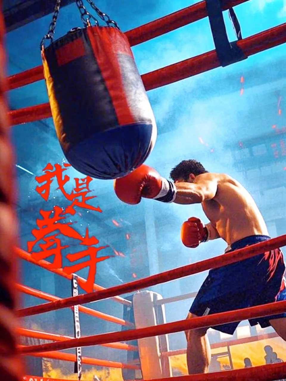 我是拳手海报