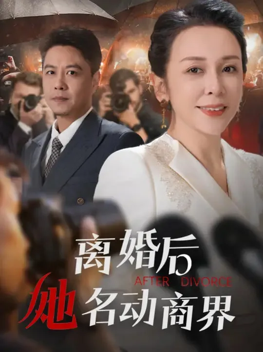 离婚后她名动商界(中年离婚后她名动商界)海报