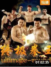 终极拳王海报