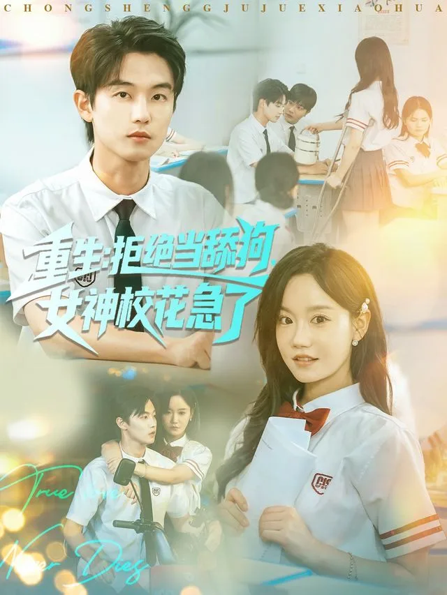 重生不当舔狗，校花崩溃了海报