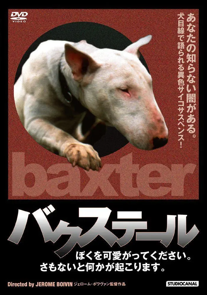 狗儿怨海报