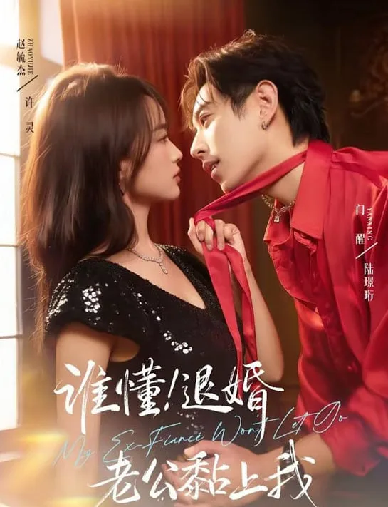 谁懂！退婚老公黏上我海报
