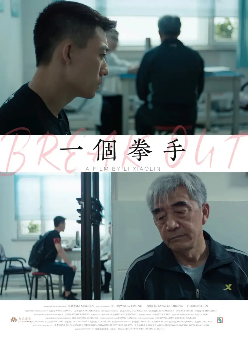 一个拳手海报