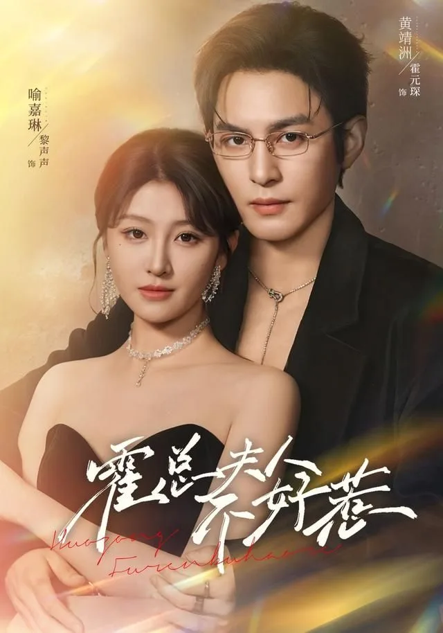 霍总夫人不好惹海报