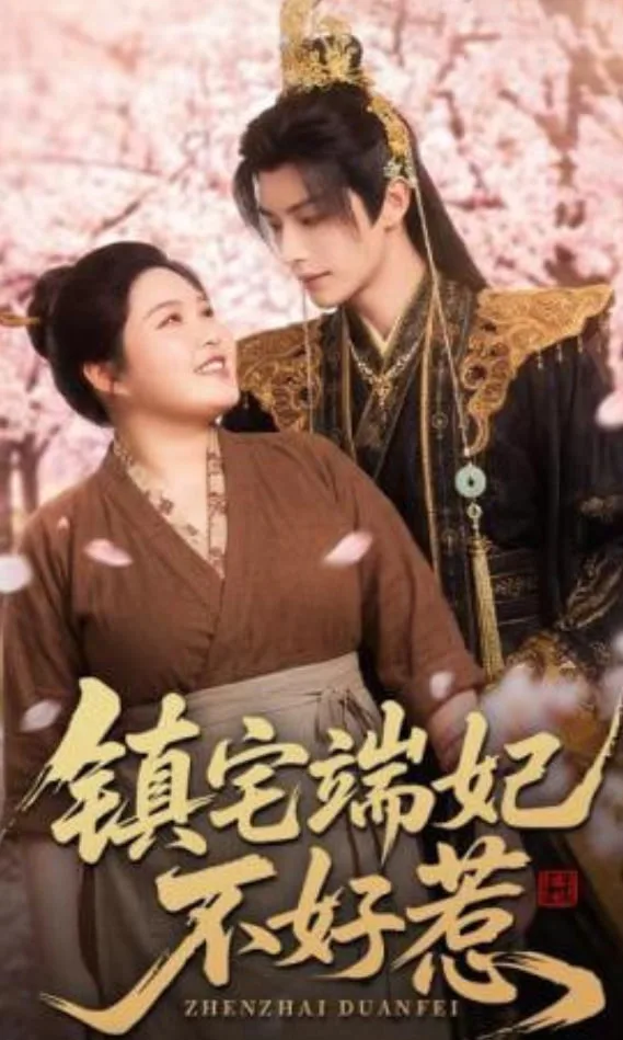 镇宅端妃不好惹海报