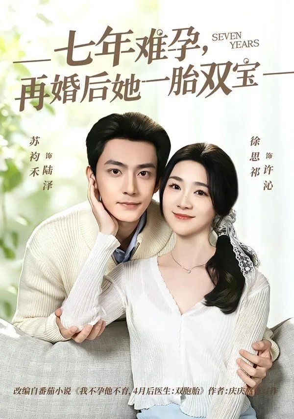 七年难孕，再婚后她一胎双宝海报