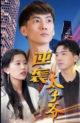 逆袭太子爷海报