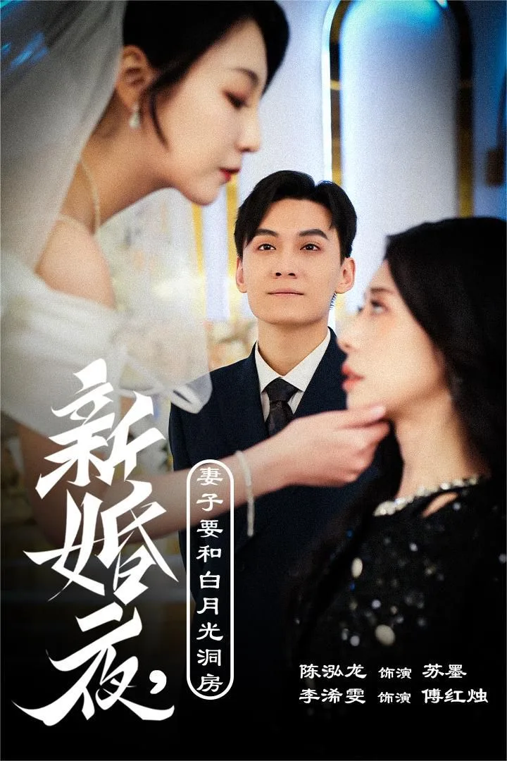 新婚夜，妻子要和白月光洞房（礼尚往来）海报