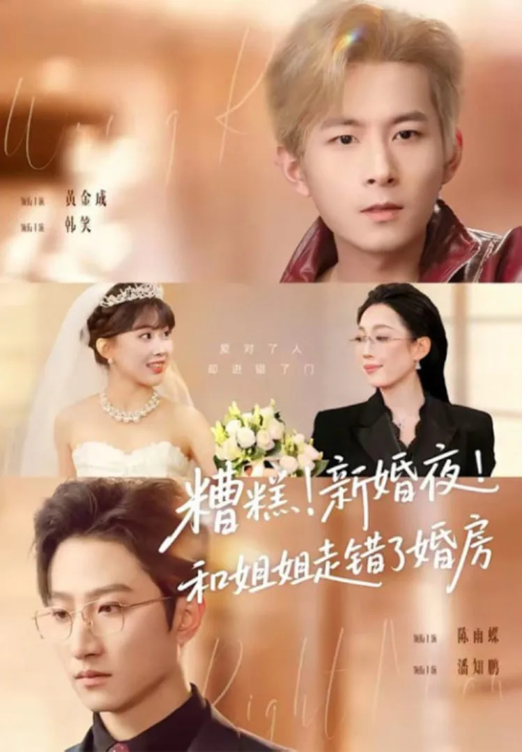 糟糕！新婚夜！和姐姐走错了婚房(糟糕新婚夜和姐姐走错了婚房)海报