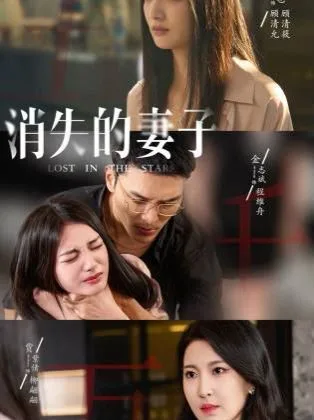新版：消失的妻子（双生姐妹的反击攻略）海报