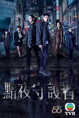 暗夜守护者（国语版）海报