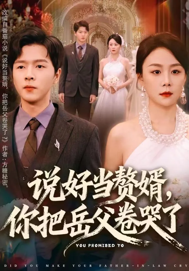 说好当赘婿，你把岳父卷哭了海报