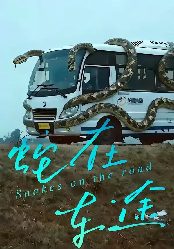 蛇在车途海报