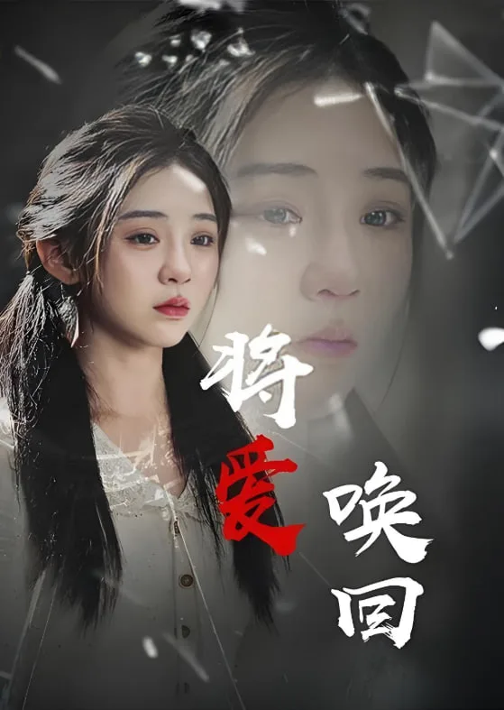 将爱唤回海报