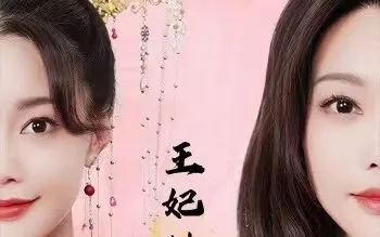 王妃她又美又飒海报