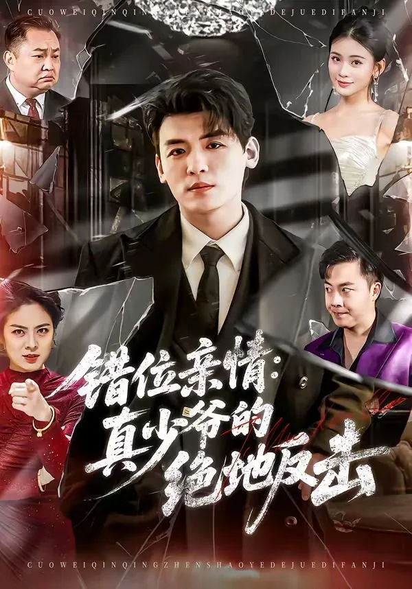 错位亲情：真少爷的绝地反击海报