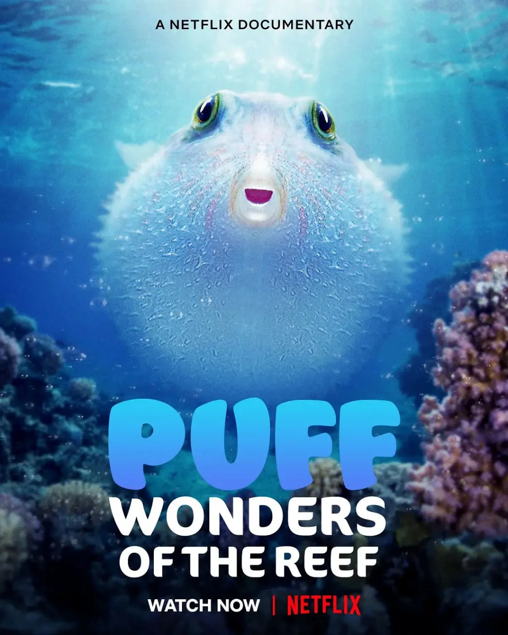 河豚之家：神奇的珊瑚礁海报