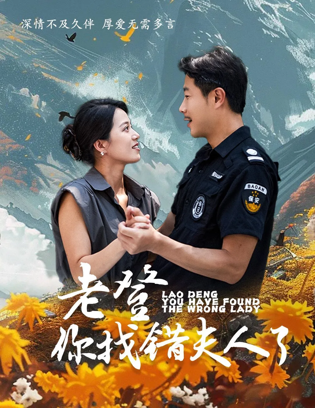 老登你找错夫人了海报