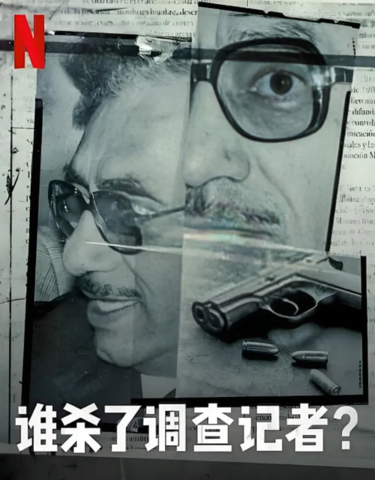 谁杀了调查记者海报
