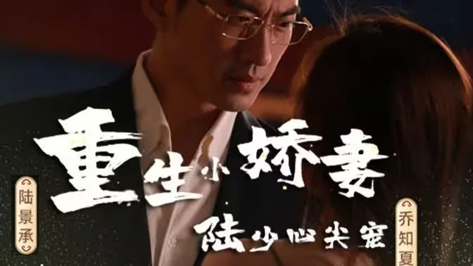 重生小娇妻，陆少心尖宠海报