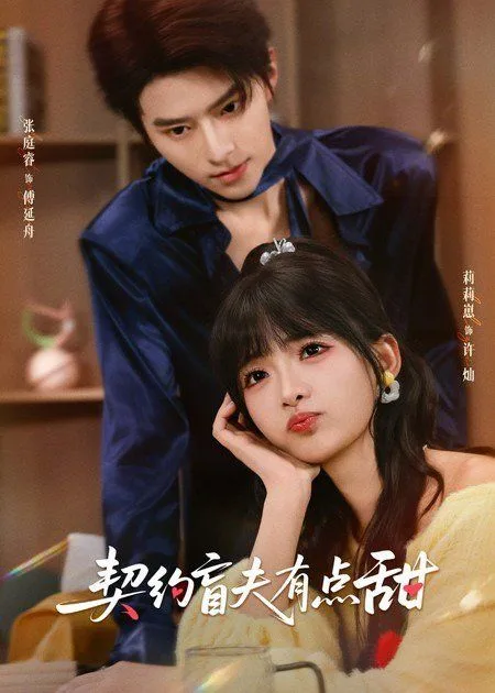 契约盲夫有点甜海报