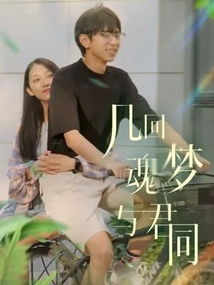 几回魂梦与君同海报