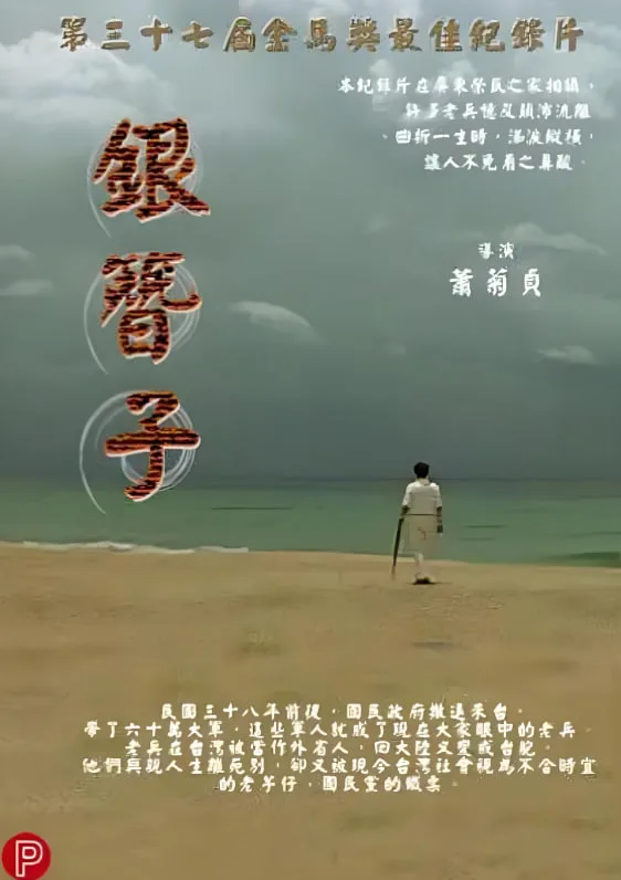 银簪子海报