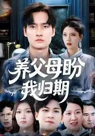 养父母盼我归期海报