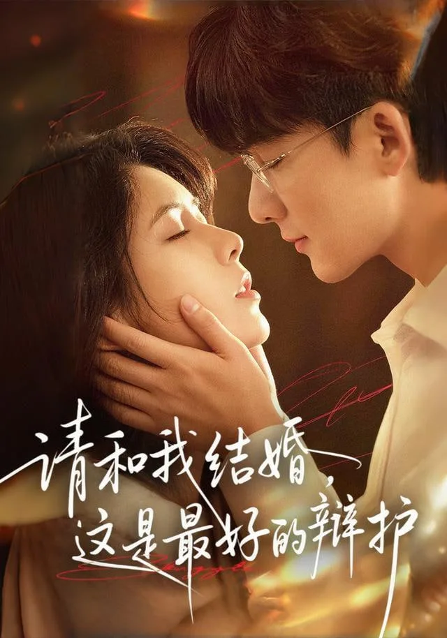 请和我结婚，这是最好的辩护海报