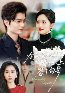 在第一百张结婚证上签下句号海报