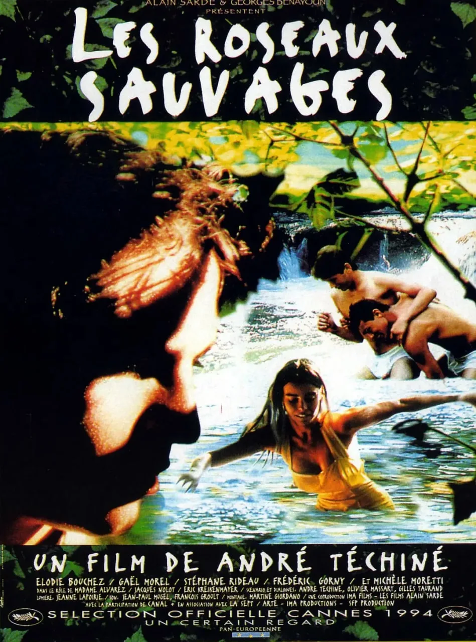 野芦苇海报