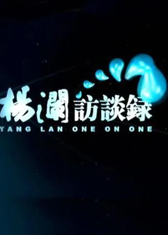 杨澜访谈录2014海报