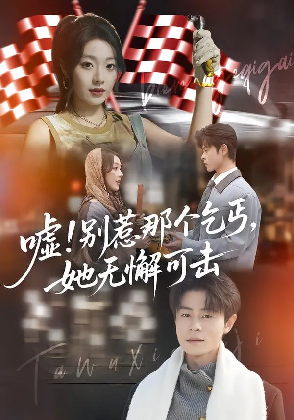 嘘！别惹那个乞丐，她无懈可击（嘘别惹那个乞丐她无懈可击）海报