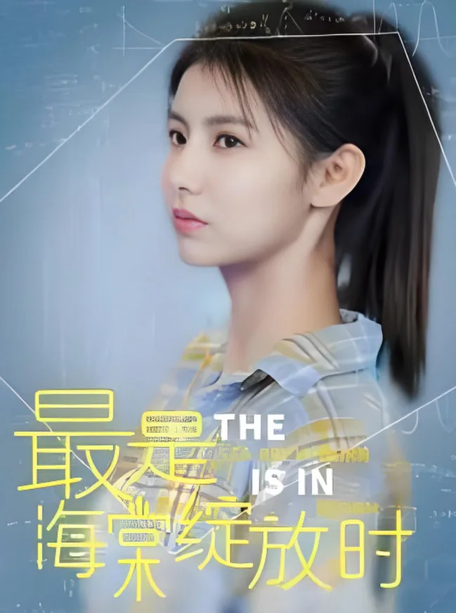 最是海棠绽放时海报