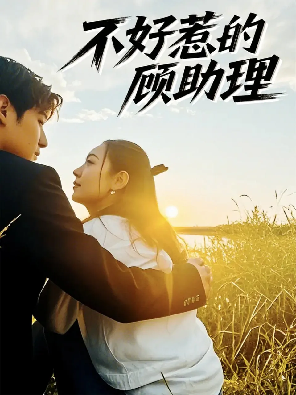 不好惹的顾助理海报